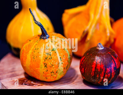 Il famoso zucche di Halloween vi accompagni a fare scherzi e chiedere per tratta Foto Stock