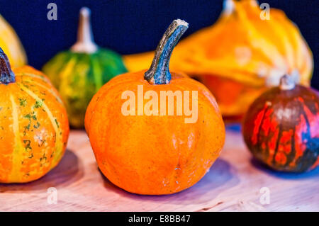 Il famoso zucche di Halloween vi accompagni a fare scherzi e chiedere per tratta Foto Stock