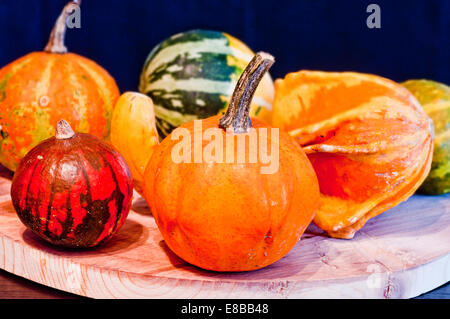 Il famoso zucche di Halloween vi accompagni a fare scherzi e chiedere per tratta Foto Stock