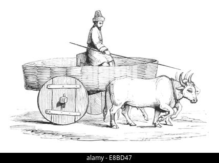 Olifante(1856) p107 Abkhasian Buffalo-Cart Foto Stock