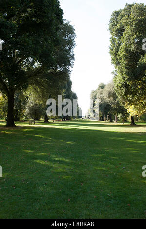 I Giardini di Kew vista del paesaggio di vaste aree erbose foderato con bellissimi alberi Foto Stock