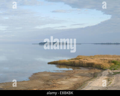 Vista dell'isola Salosaar nel lago Lämmijärv ( che è parte del lago Peipsi ) vicino Räpina. Estonia Foto Stock