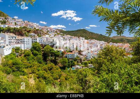 Bianco tipico villaggio di montagna a Ojen, provincia di Malaga, Andalusia, Spagna, Europa. Foto Stock