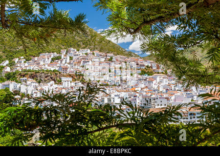 Bianco tipico villaggio di montagna a Ojen, provincia di Malaga, Andalusia, Spagna, Europa. Foto Stock