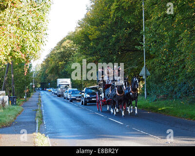 Stokenchurch, Buckinghamshire, UK. 4 Ottobre, 2014. Questa immagine mostra un XIX secolo a cavallo il stagecoach, il Tally Ho,guida attraverso Stokenchurch in Buckinghamshire sul suo viaggio da piume, Westminster, London su un 65 miglia di viaggio più di due giorni a Oxford. La Oxford Road è stato uno dei grandi itinerari del XIX secolo e questo cammino mira a ricreare il romanticismo di quel tempo mentre la raccolta di fondi per il John Radcliffe Hospital di Oxford. Credito: Glyn Fletcher/Alamy Live News Foto Stock