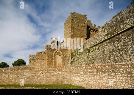 L'Europa, Italia, Toscana, montalicino, fortezza Foto Stock