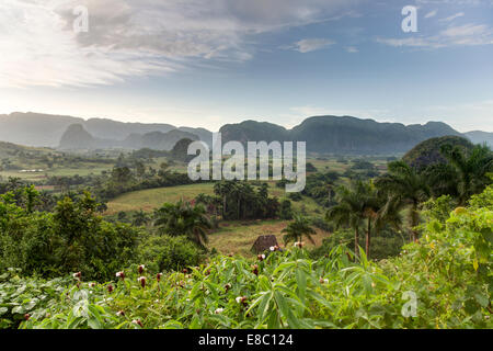 Mogotes in serata il paesaggio di Vinales, Pinar del Rio provincia, Cuba Foto Stock