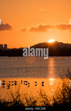 Sunrise in Sardegna Foto Stock