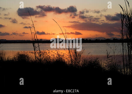 Sunrise in Sardegna Foto Stock