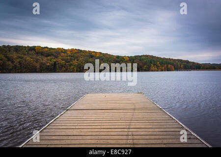 Piccolo molo sulla riva del lago di Williams, vicino a York, in Pennsylvania. Foto Stock