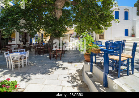 Un grande albero piano sfumature la piazza principale nella città di Pyrgos, isola di Tinos, Cicladi Grecia Foto Stock