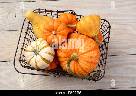 Alta angolazione di una varietà di zucche decorative e zucche in un filo vecchio shopping basket. Formato orizzontale su un rustico whi Foto Stock