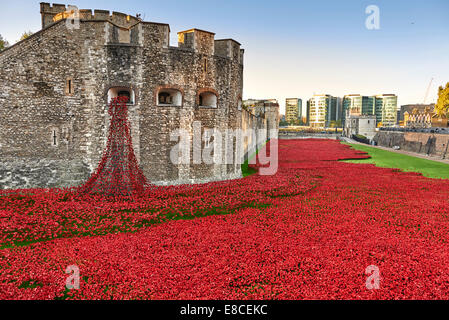 Torre di Londra papaveri nel fossato HRP-Tower of London -WW1-LogoFrom 5 agosto 2014 al 11 novembre 2021 Foto Stock