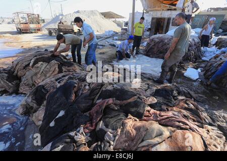 La città di Gaza, Striscia di Gaza, Territori palestinesi. 5 Ottobre, 2014. I lavoratori palestinesi tan pelle di vacche e pecore macellati dopo il secondo giorno di Eid al-Adha o la festa del sacrificio, in corrispondenza di una conceria in Gaza City il 5 ottobre 2014. Credito: ZUMA Press, Inc./Alamy Live News Foto Stock