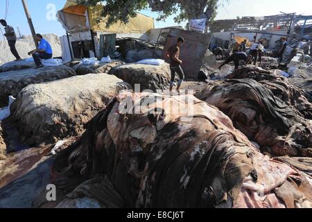 La città di Gaza, Striscia di Gaza, Territori palestinesi. 5 Ottobre, 2014. I lavoratori palestinesi tan pelle di vacche e pecore macellati dopo il secondo giorno di Eid al-Adha o la festa del sacrificio, in corrispondenza di una conceria in Gaza City il 5 ottobre 2014. Credito: ZUMA Press, Inc./Alamy Live News Foto Stock