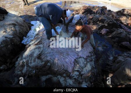 La città di Gaza, Striscia di Gaza, Territori palestinesi. 5 Ottobre, 2014. I lavoratori palestinesi tan pelle di vacche e pecore macellati dopo il secondo giorno di Eid al-Adha o la festa del sacrificio, in corrispondenza di una conceria in Gaza City il 5 ottobre 2014. Credito: ZUMA Press, Inc./Alamy Live News Foto Stock