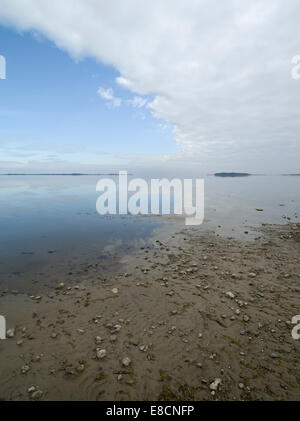 Lago Lämmijärv ( che è parte del lago Peipsi ) vicino Räpina. Estonia Foto Stock