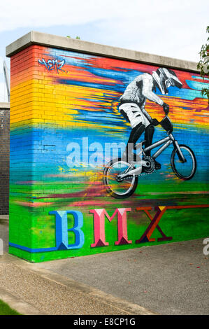 Carta murale di una BMX biker, su un ex viadotto ferroviario pilastro, nazionale centro ciclistico, Clayton, Manchester, Inghilterra, Regno Unito Foto Stock