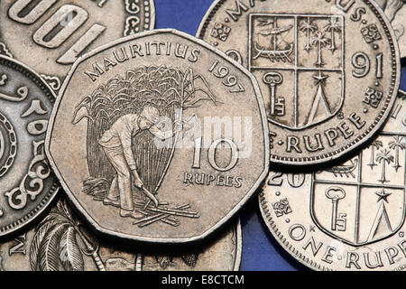 Monete di Maurizio. Maurizio taglio contadino di canna da zucchero in un campo illustrato nella il Mauriziano dieci rupee coin. Foto Stock