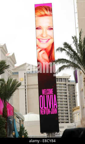 Olivia Newton John ufficiale di Las Vegas con arrivo benvenuto evento al Flamingo Las Vegas offre: atmosfera dove: Las Vegas, Nevada, Stati Uniti quando: 02 Apr 2014 Foto Stock