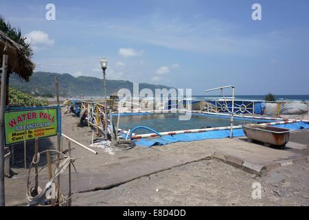 Il Farro di miss acqua segno Pall aggiunge un'altra dimensione al mare lungo la scena con la massa in piscina e vasca da bagno. Foto Stock