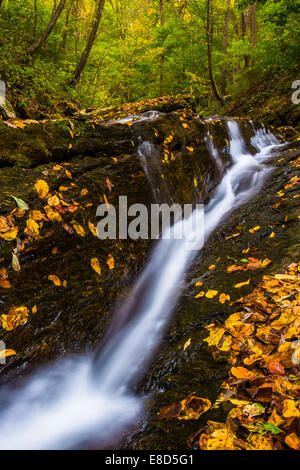 Caduto Foglie di autunno e una piccola cascata su Oakland esecuzione in Holtwood, Pennsylvania. Foto Stock