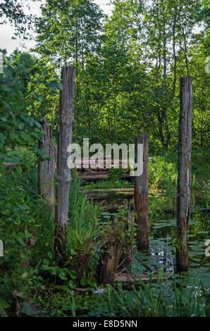 Ponte in legno sul fiume di foresta. Foto Stock