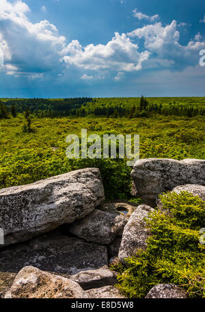 Nuvole temporalesche su rocce orso preservare, Monongahela National Forest, West Virginia. Foto Stock