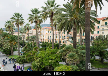 Lungomare fiancheggiata da palme, Varazze, Provincia di Savona Liguria, Italia Foto Stock