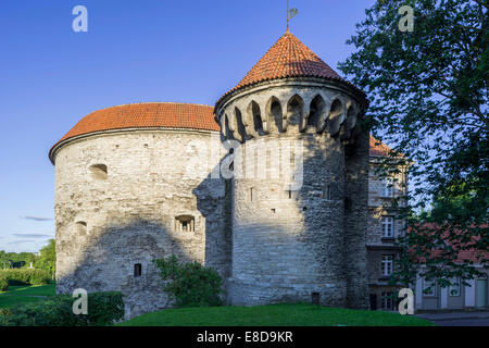 Fat margaret tower, posizione dell'Estone museo marittimo, vanalinn, Tallinn, harju, Estonia Foto Stock