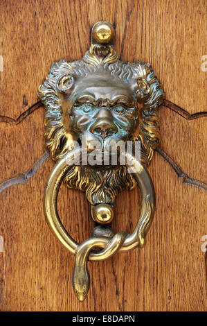 Testa di leone come una porta respingente al portale di ingresso, fabbricanti di pianoforte Steingraeber & Söhne, Steingraeber-Haus, Bayreuth Foto Stock