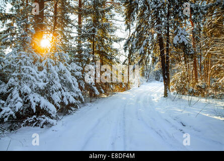 Incantevole paesaggio invernale con la foresta e una strada Foto Stock