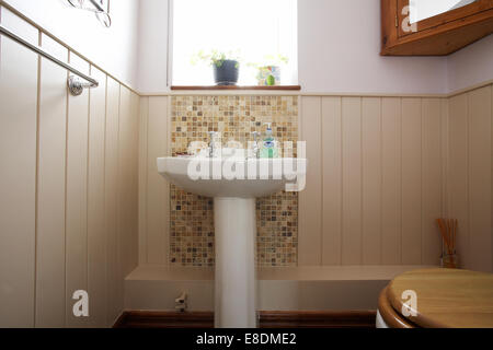 Al piano di sotto un guardaroba wc e lavabo in una casa nel Regno Unito. Foto Stock