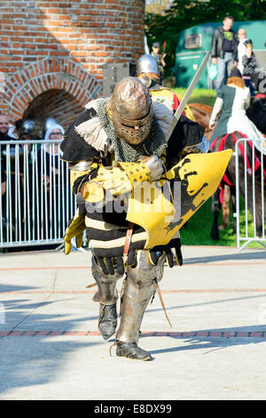Gli appassionati dei vecchi cavalieri mostrano i loro costumi e le competenze in un duello presso il Centro Culturale "castello" - Lesnica a Wroclaw in Polonia Foto Stock