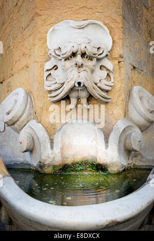 Immagine della fontana del Buontalenti a Firenze Foto Stock