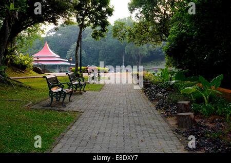 Panchine in sereno e tranquillo angolo boschivo serbatoio MacRitchie Singapore Foto Stock