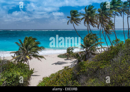 Deserta spiaggia di sabbia bianca a fondo Bay, Barbados, West Indies. Foto Stock
