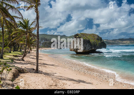 A forma di fungo rock a Betsabea, in Barbados, West Indies. Foto Stock