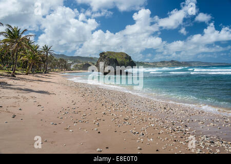 A forma di fungo rock sulla spiaggia di Bathsheba in Barbados. Foto Stock