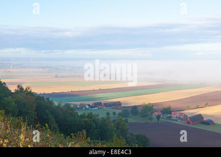 Vista di una fattoria del paese con nebbia Foto Stock