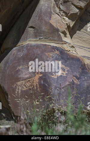 Antiche raffigurazioni o incisioni rupestri trovate in Wyoming. Alcuni pensavano di essere più di diecimila anni Foto Stock