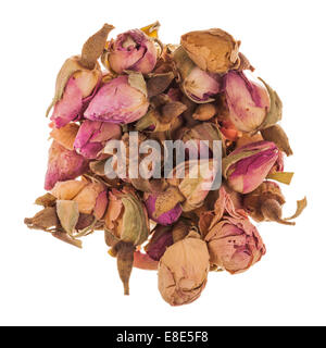 Le rose tè Bud isolati su sfondo bianco in cerchio Foto Stock