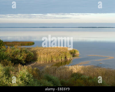 Vista la Russia oltre il Lago Lämmijärv ( che è parte del lago Peipsi ) dall'Estonia vicino Räpina. Estonia Foto Stock