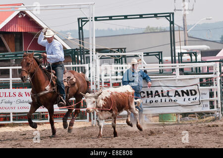 Sterzo Team roping, Sundre Pro Rodeo, Sundre, Alberta, Canada Foto Stock