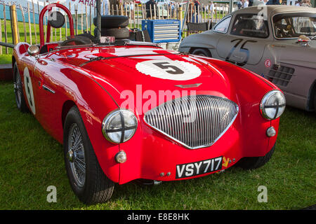 Un rosso 1955 Austin Healey 100/4 classic vintage racing car al Goodwood 2014, West Sussex, Regno Unito Foto Stock