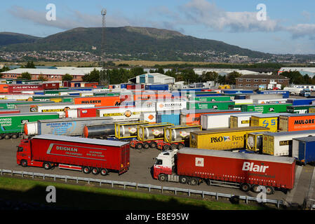 I rimorchi di trasporto merci in attesa di caricamento a Belfast Docks Irlanda del Nord Regno Unito Foto Stock