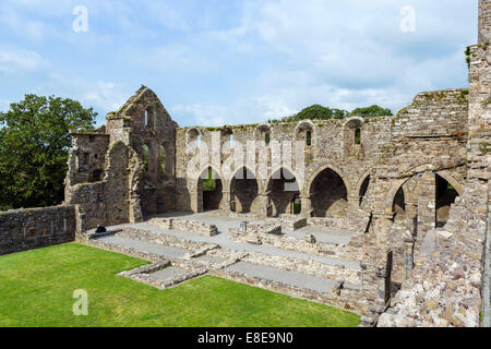 Abbazia di Jerpoint, Thomastown, nella Contea di Kilkenny, Repubblica di Irlanda Foto Stock