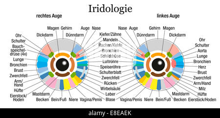 Iridology o iris diagramma diagnostico con descrizione accurata dei corrispondenti organi e parti del corpo - etichettatura in tedesco. Foto Stock