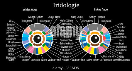 Iris o diagnosi iridology grafico con descrizione dei corrispondenti organi interni e le parti del corpo - etichettatura in tedesco. Foto Stock
