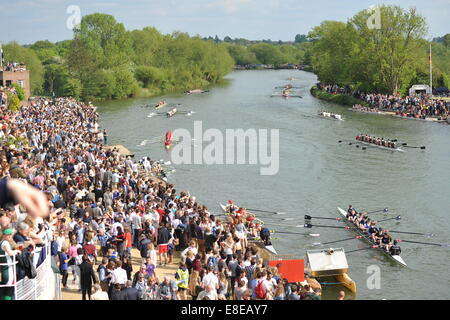 Scena di un College di Oxford boat house durante l'ottava settimana dove lo scopo è di una barca a remi per urtare l'uno davanti -urti Foto Stock